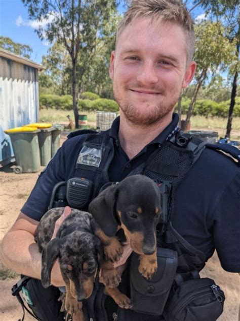 matthew arnold|matthew arnold queensland police.
